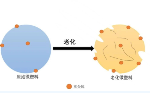 土壤微塑料與重金屬、持久性有機(jī)污染物和抗生素作用影響因素