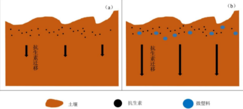 土壤微塑料與重金屬、持久性有機(jī)污染物和抗生素作用影響因素