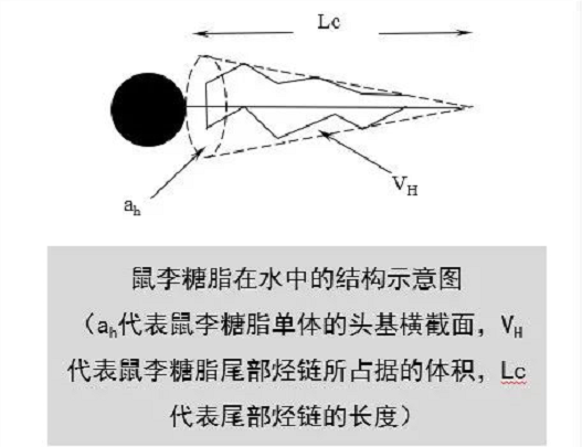 生物糖脂—改良和修復(fù)土壤的利器！