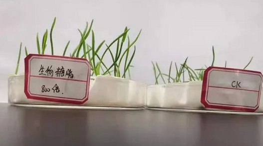 生物糖脂—改良和修復(fù)土壤的利器！