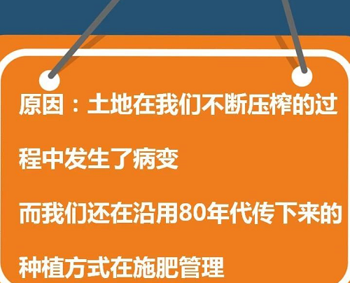 死心吧！土壤都?jí)牧?，再不改，莊稼肯定沒救了！