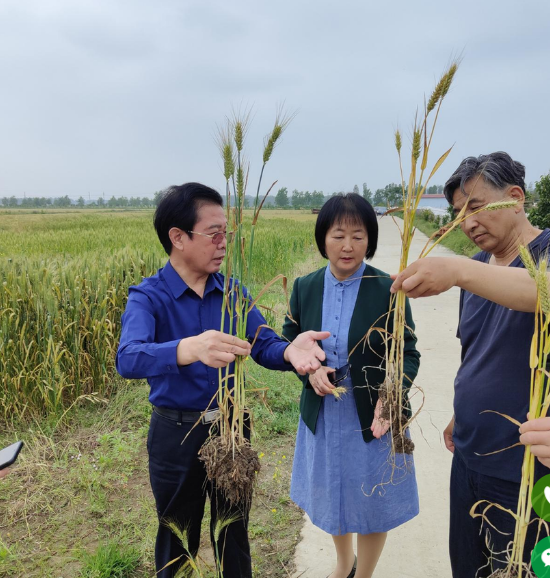 萬正主持中國碳氫農(nóng)業(yè)碳中和事業(yè)河南省大局