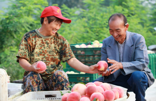 平谷大桃出山記