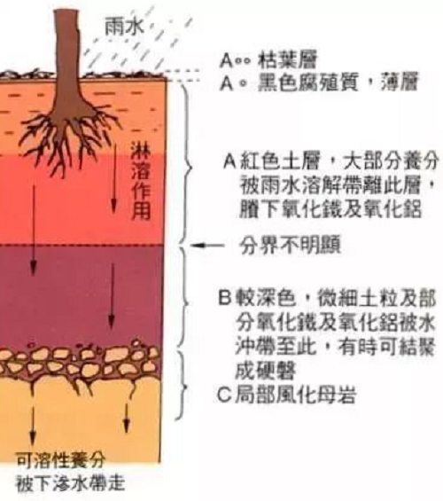 最基本的土壤知識（農(nóng)業(yè)人必備）