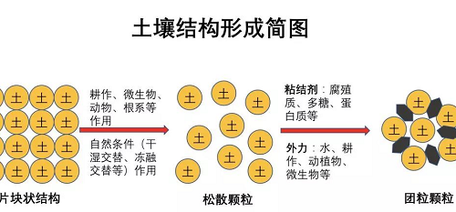 最基本的土壤知識（農(nóng)業(yè)人必備）