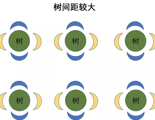 最基本的土壤知識（農(nóng)業(yè)人必備）