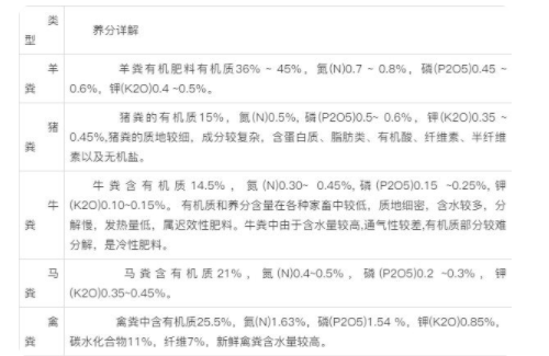 土壤改良—糞肥有多少坑？