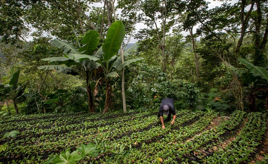 全球目前33％的土壤出現(xiàn)了嚴重退化！