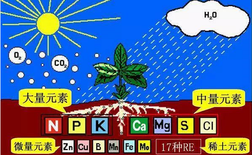 有機(jī)肥的10大作用！你知道嗎？