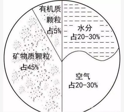 從本質(zhì)上講，所有的生命都依賴于土壤！