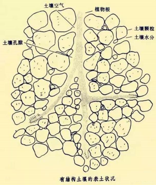 土壤修復(fù)市場潛力巨大 土壤團(tuán)粒結(jié)構(gòu)修復(fù)劑或成香餑餑