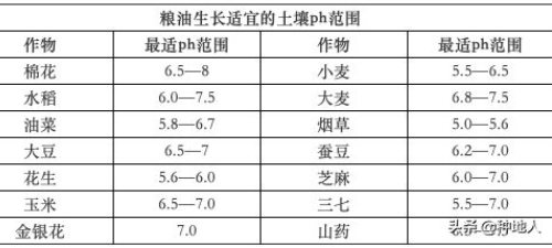 農(nóng)民一定要重視“有機肥”的投入，不要問為什么，自己看吧！