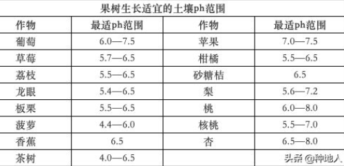 農(nóng)民一定要重視“有機肥”的投入，不要問為什么，自己看吧！