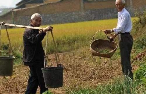 日本人在中國(guó)租了1500畝地，閑置5年任荒草瘋長(zhǎng)，但結(jié)果讓中國(guó)人大吃一驚