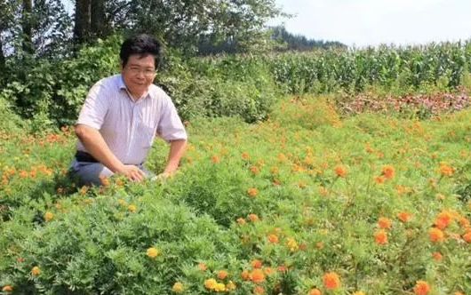 干貨，快速揪出土壤“隱形殺手”