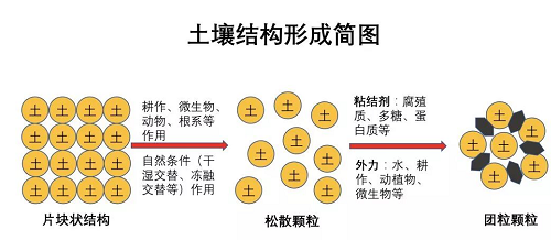 一定要看，最基本的土壤知識（農業(yè)人必備）！