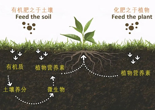 保護(hù)土壤，我們強(qiáng)烈呼吁！——做農(nóng)業(yè)的你，一定要看看！