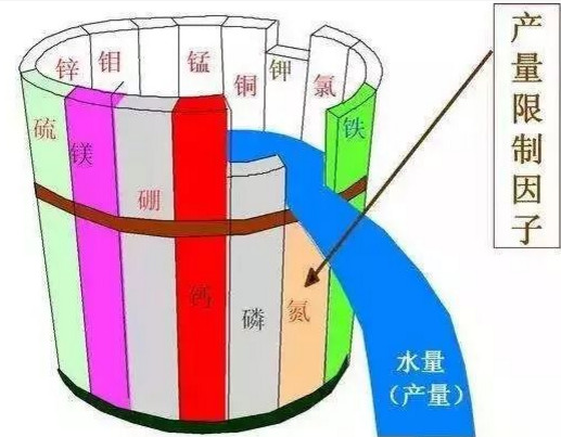 告急！別再只上氮磷鉀了！我國一半的土壤都缺“它”！