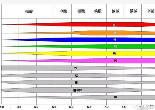 土壤病了！用再多肥料也白瞎！