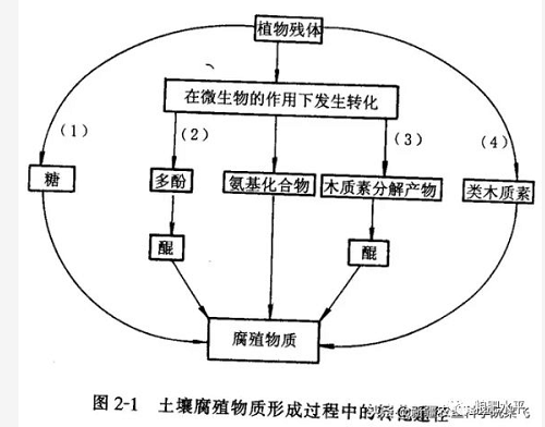 土壤有機(jī)質(zhì)到底是什么？