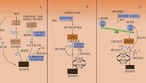 秸稈還田下土壤有機(jī)質(zhì)激發(fā)效應(yīng)研究進(jìn)展