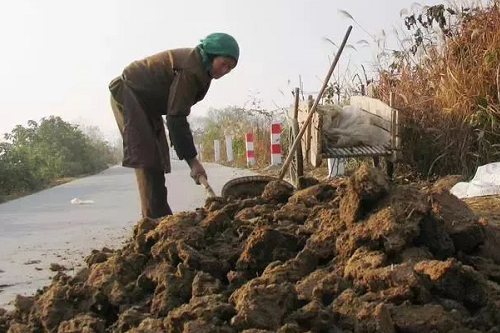 土壤改良，我們就從這3個方面下手！