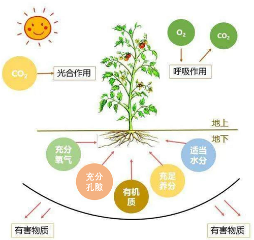 假如我們的土壤生病了...