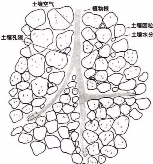 土壤里面學(xué)問(wèn)大