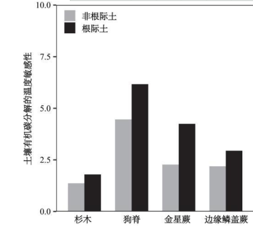 根際土壤：小心臟，大功能