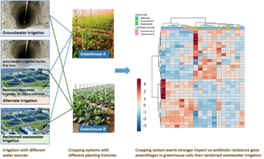 研究發(fā)現(xiàn) 再生水灌溉對土壤無顯著影響
