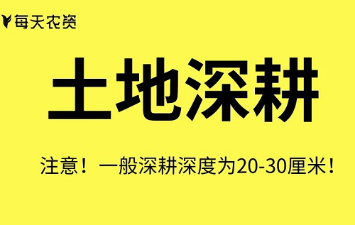 這些土壤改良方法也太實(shí)用了……