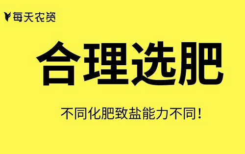 這些土壤改良方法也太實(shí)用了……