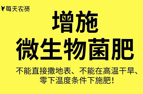 這些土壤改良方法也太實(shí)用了……