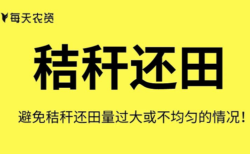 這些土壤改良方法也太實(shí)用了……