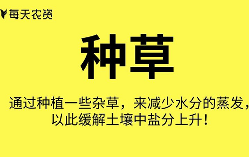 這些土壤改良方法也太實(shí)用了……