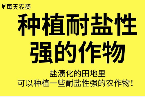 這些土壤改良方法也太實(shí)用了……