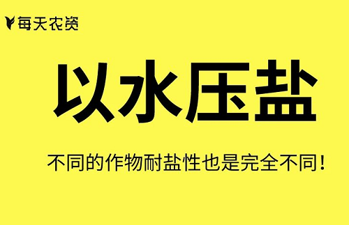 這些土壤改良方法也太實(shí)用了……