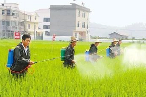 最全“土壤有機(jī)質(zhì)”知識(shí)匯總！