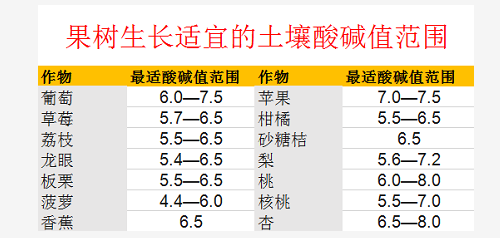 趕緊！你地里的土壤問題真的不能再等了！