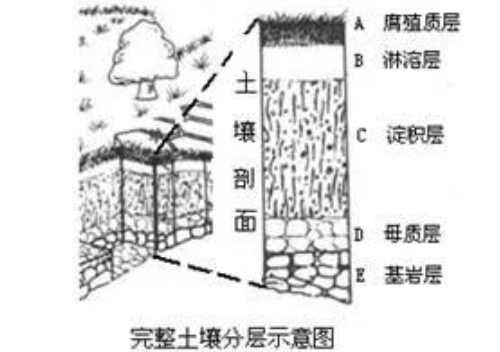 地理筆記：土壤