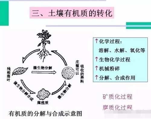 史上最全“土壤有機(jī)質(zhì)”知識(shí)！