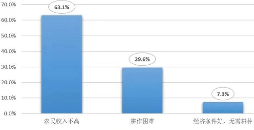 從耕地質(zhì)量看“家底”：各地化肥用量究竟減了多少？如何從源頭守紅線？