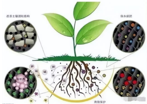 土壤微生物對作物生長影響有多大？必須了解一下！