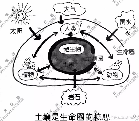 土壤是物質(zhì)循環(huán)的核心