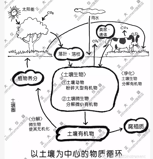 土壤是物質(zhì)循環(huán)的核心