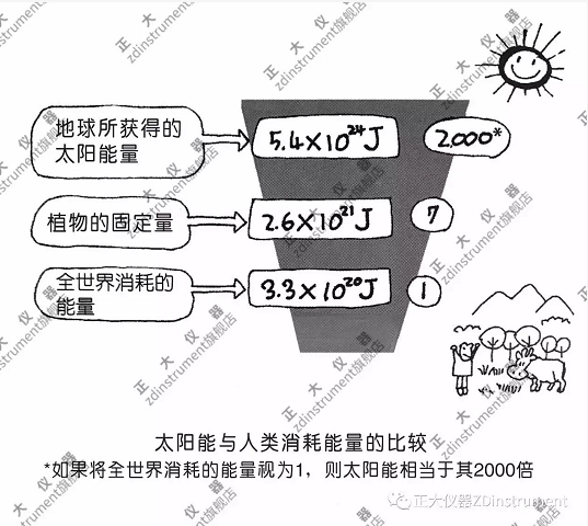 土壤是物質(zhì)循環(huán)的核心