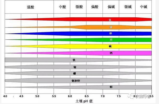 土壤病了！用再多肥料也白瞎！