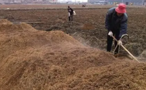 淺析深耕土壤改良的方式