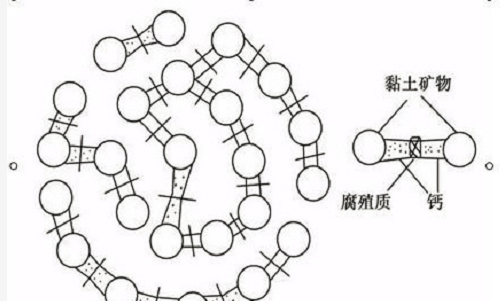 土壤基礎(chǔ)知識(shí)（圖文版）