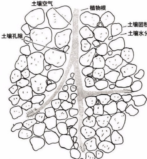 土壤基礎(chǔ)知識(shí)（圖文版）